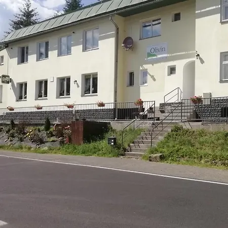 Hotel Olivin *