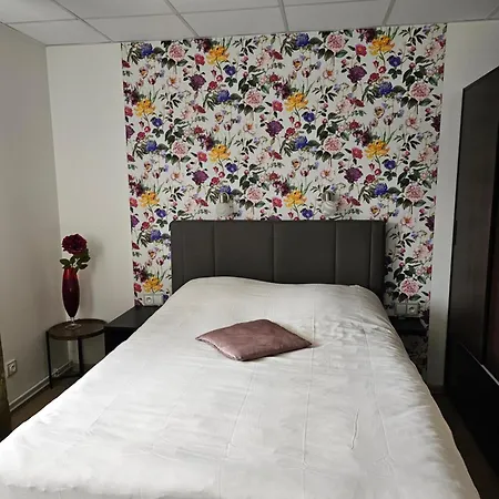 Hotel Olivin *