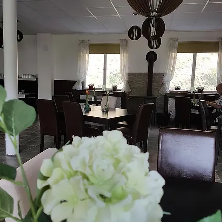 Hotel Olivin *
