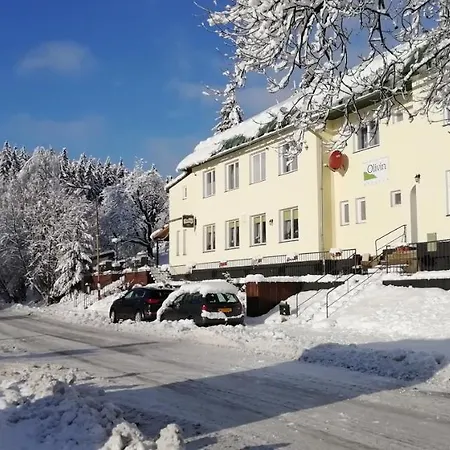 Olivin Hotel Kytlice